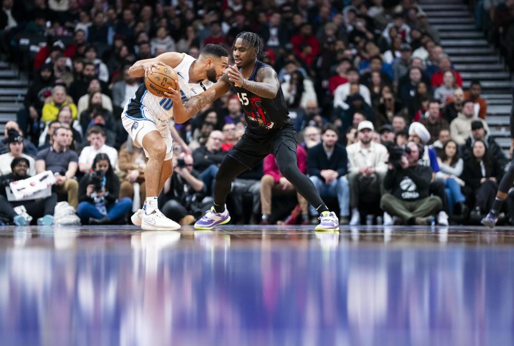 每年全国各 每年全国各