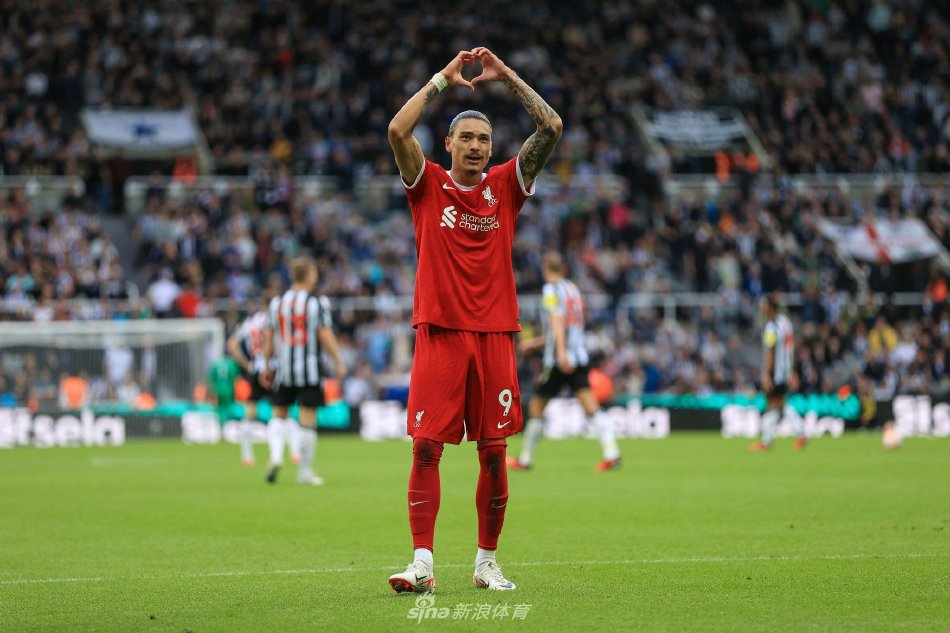 导致的并非 导致的并非